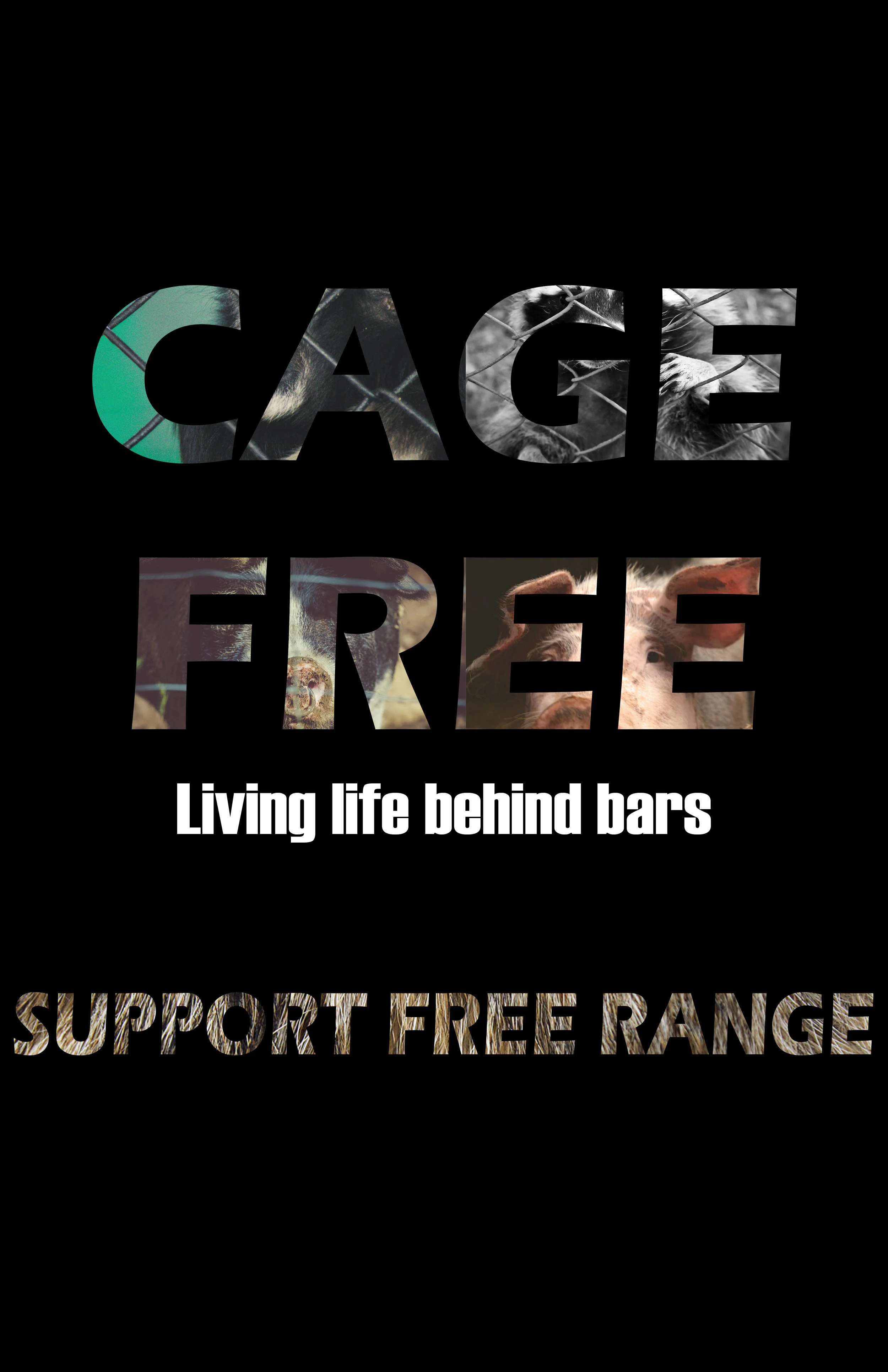 Ban on Animal Testing, P3