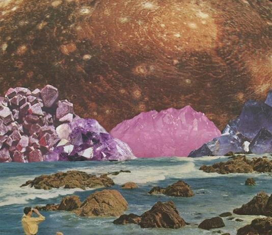 Collage Club Sunday Sessions: Nature in Art! 