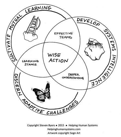 wiseaction.jpg