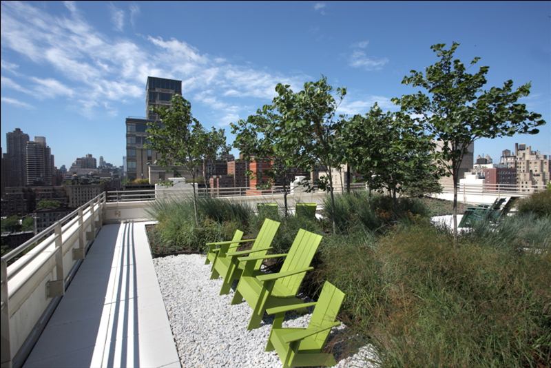 Green Roof Park - South East Corner.JPG