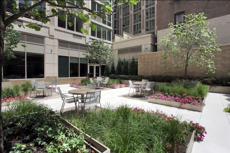 Lobby Pocket Park - Side View.JPG