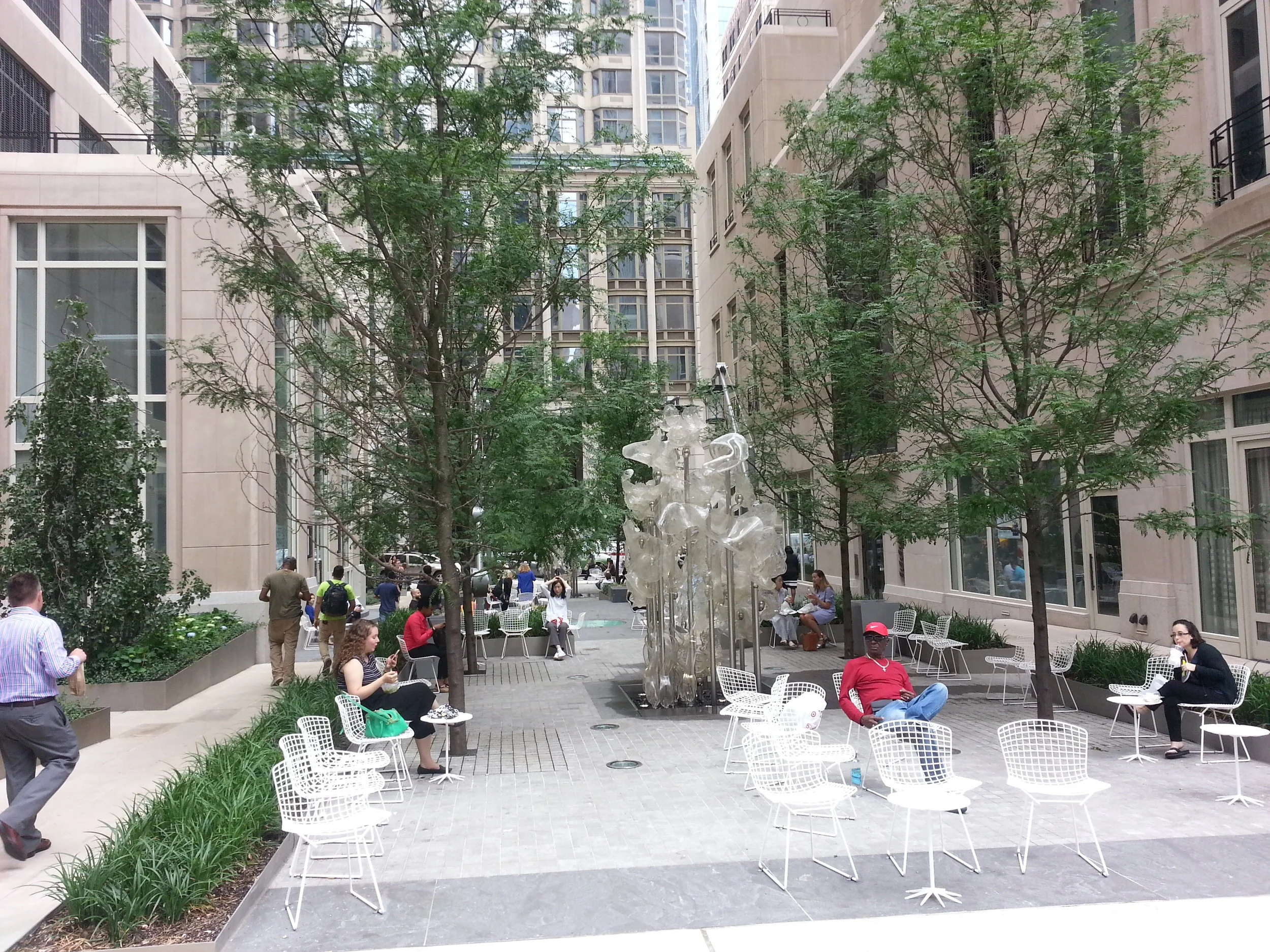 20170614_124244.jpg