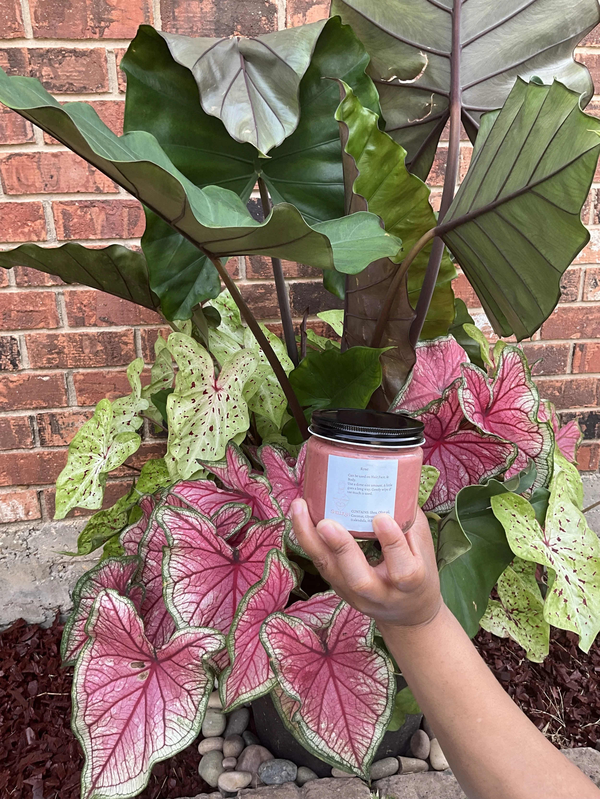 Rose Shimmer Body Butter