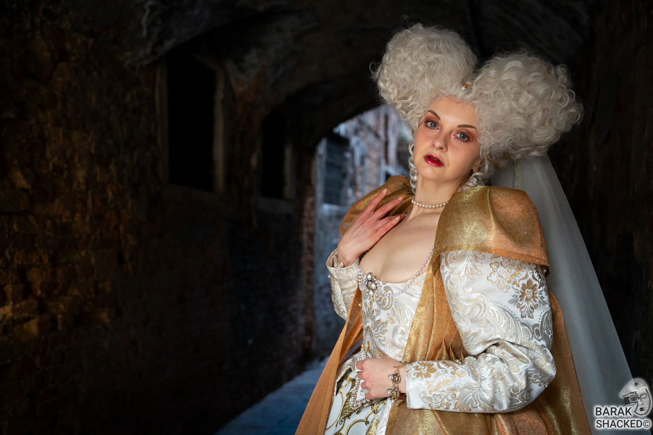 2026-02-08 Venice Carnival 806.jpg