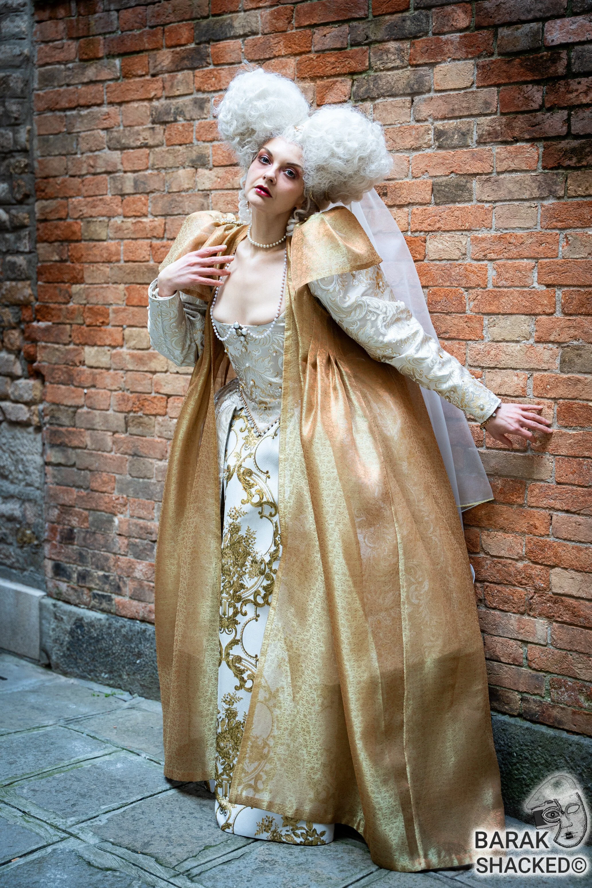 2026-02-08 Venice Carnival 811.jpg