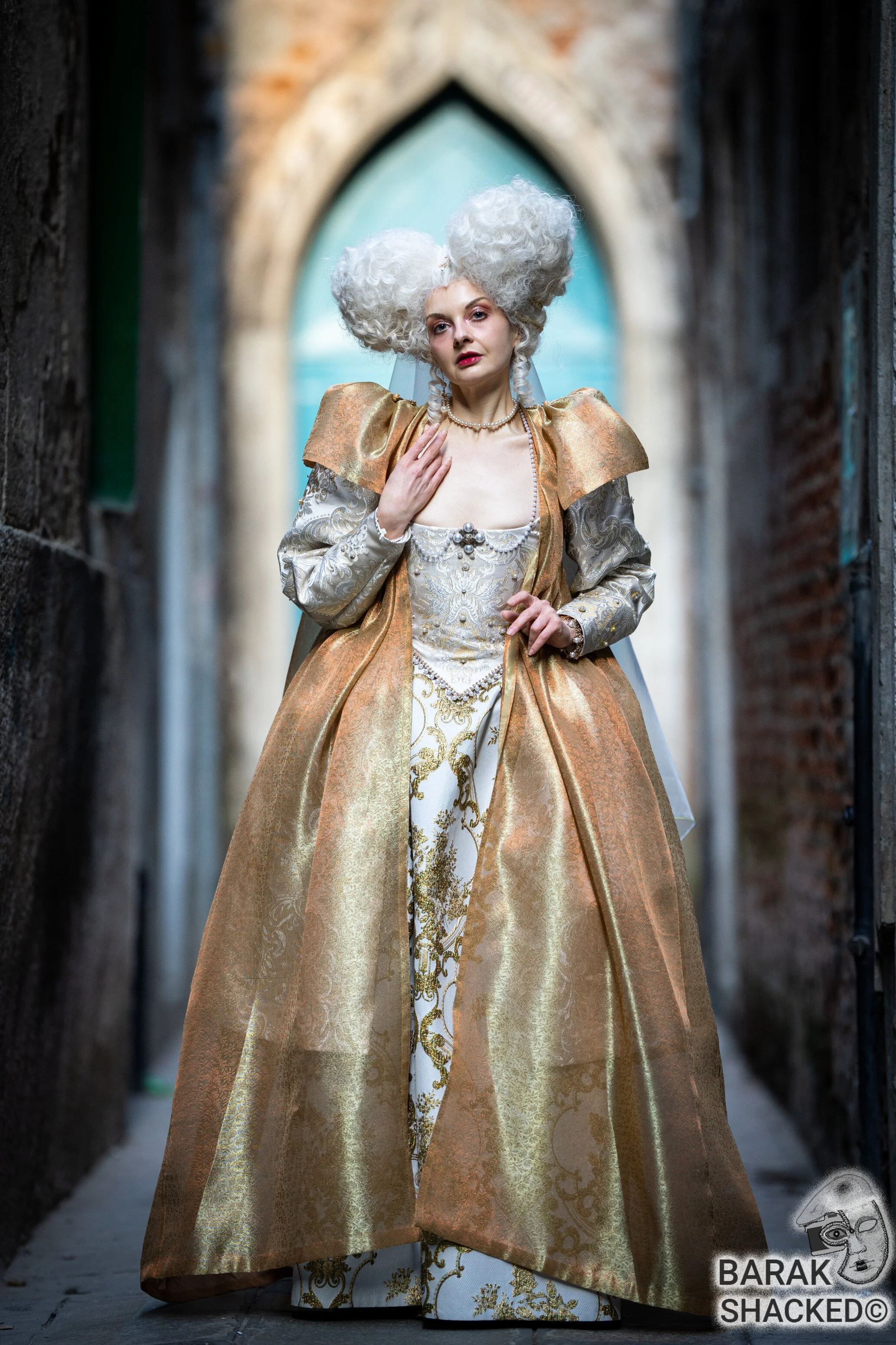 2026-02-08 Venice Carnival 1358.jpg