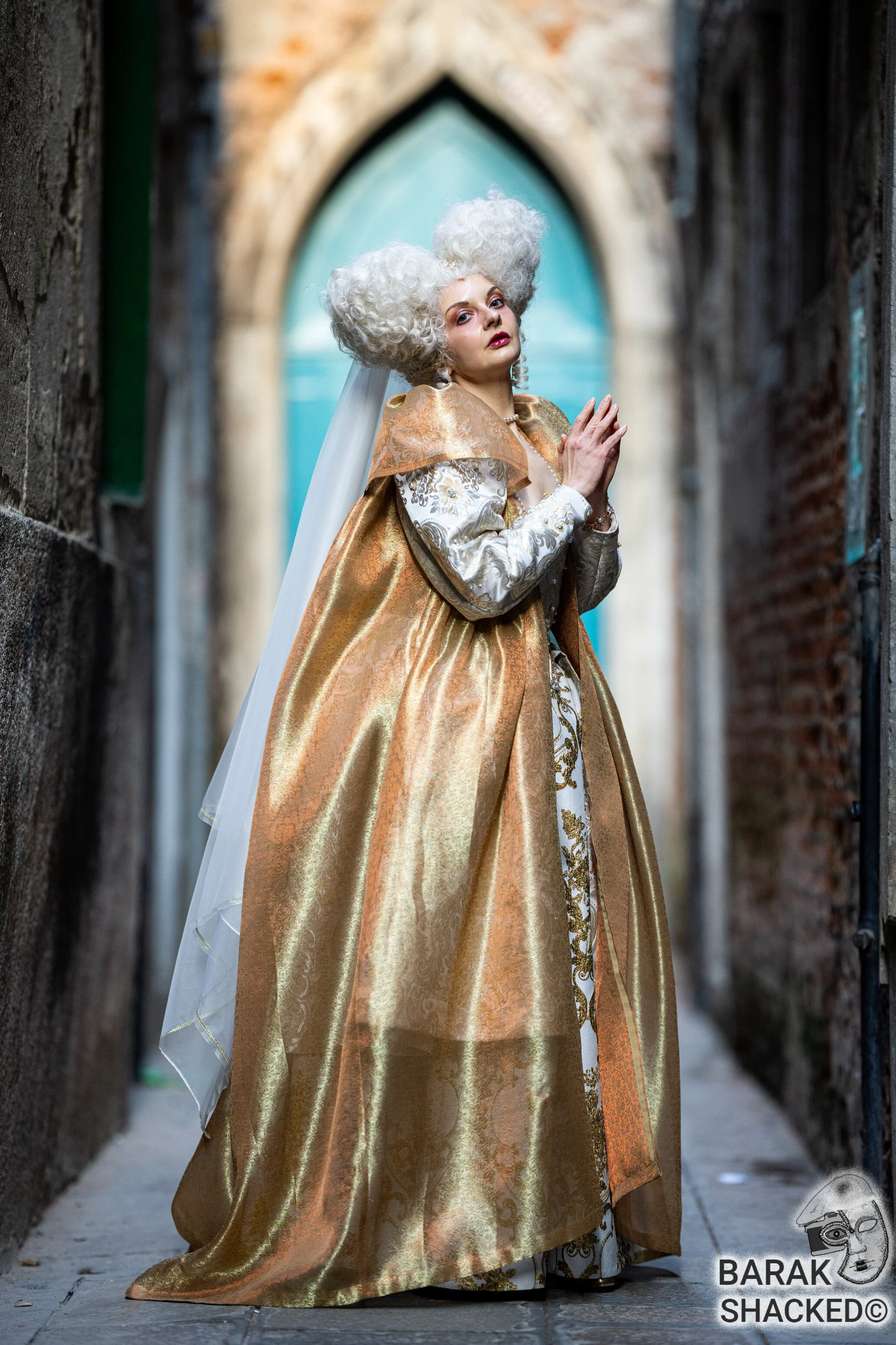 2026-02-08 Venice Carnival 1345.jpg