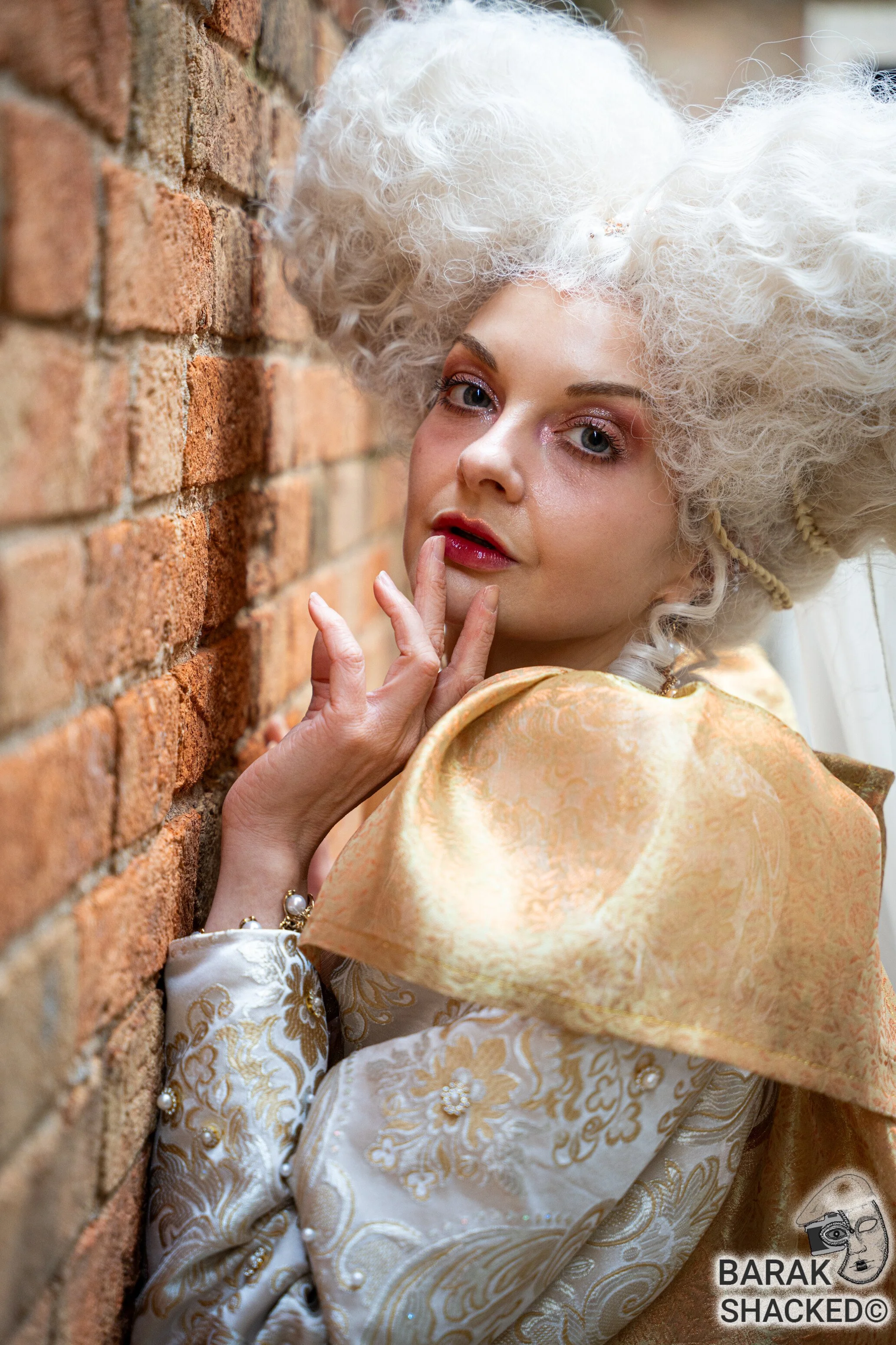 2026-02-08 Venice Carnival 823.jpg