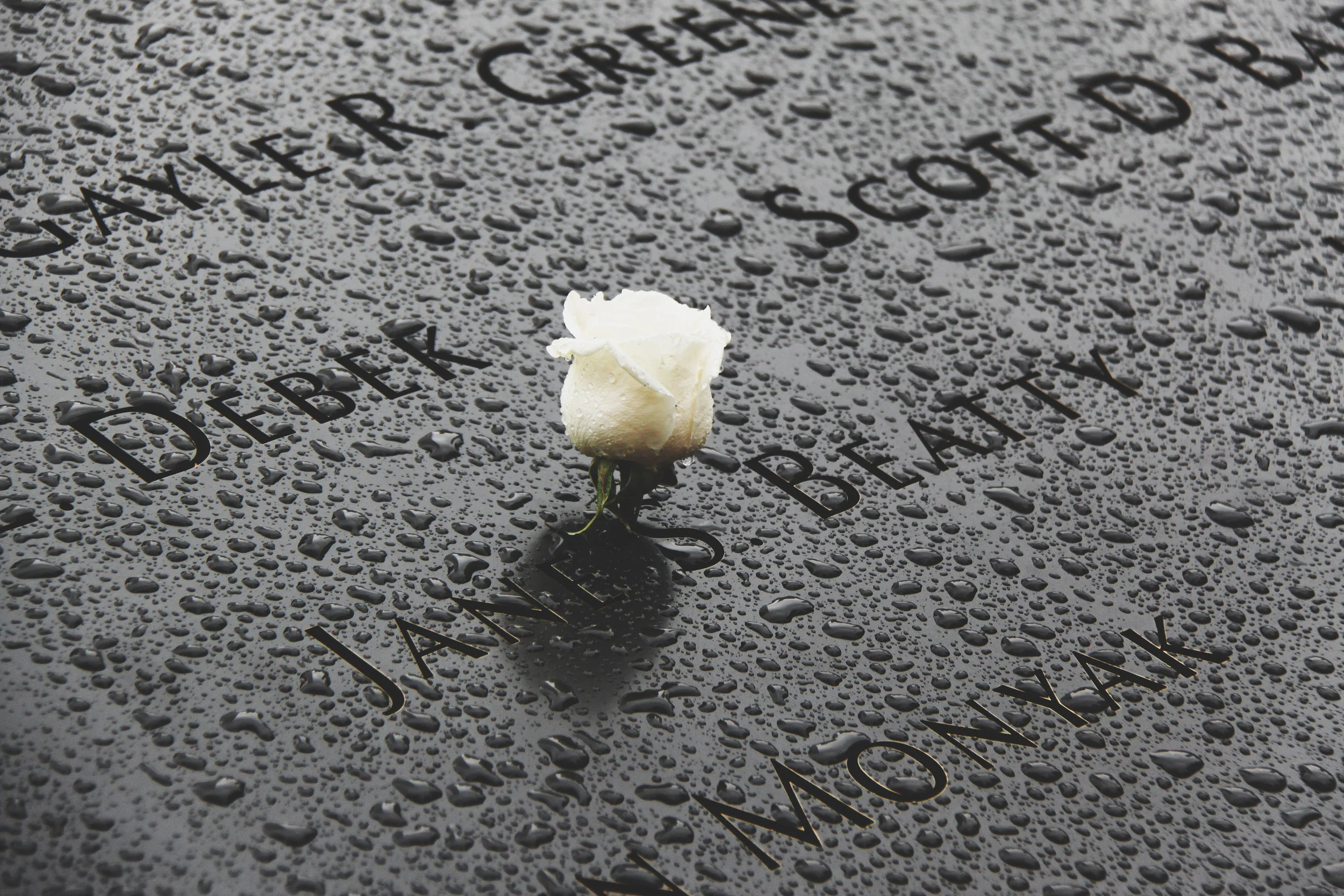Why Terrorism? What to Do? Perennial Questions for Good Friday and Easter