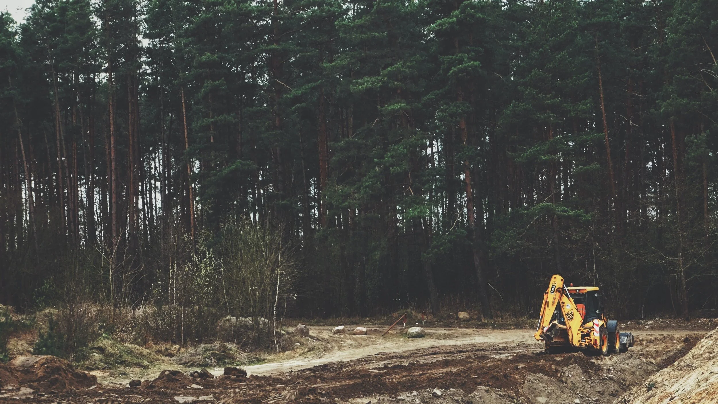 Unearthed: Ecowomanism and Economies of Disposability
