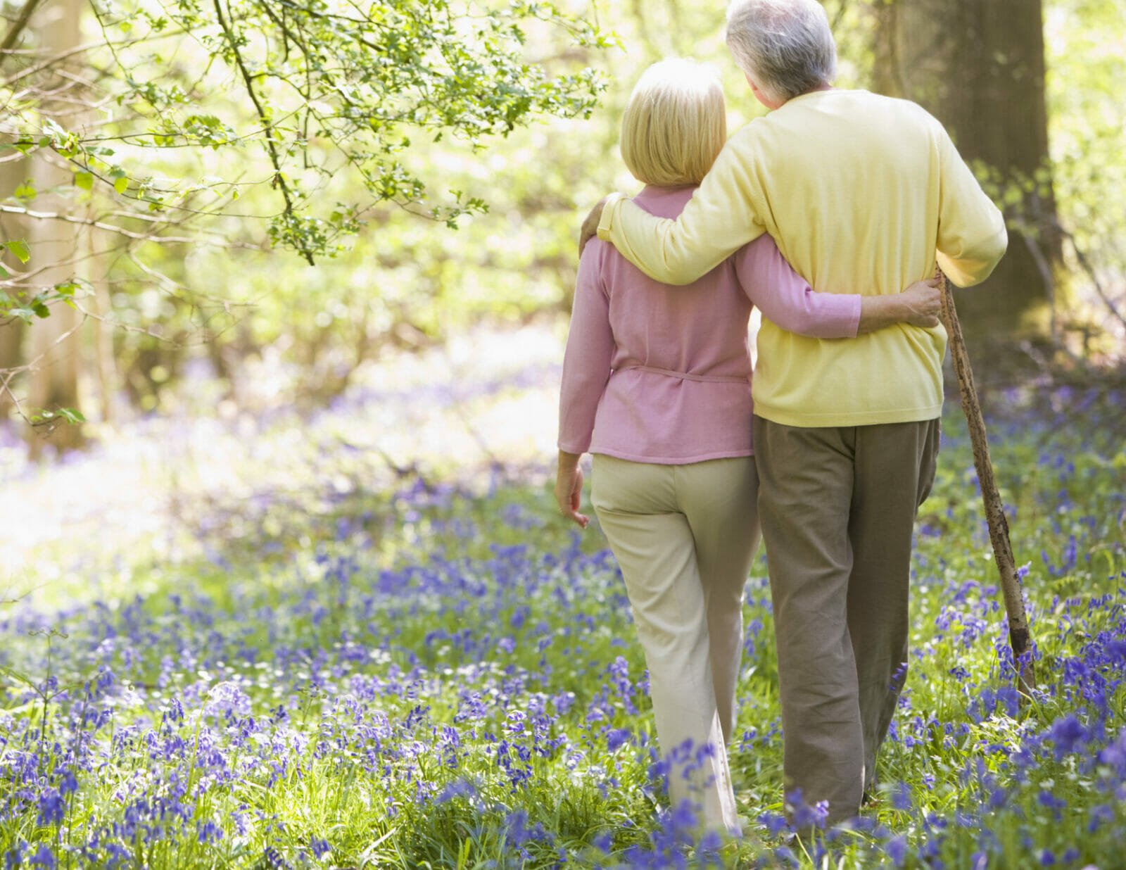What Are 5 Important Facts About Spring? A Seasonal Guide for Seniors ...