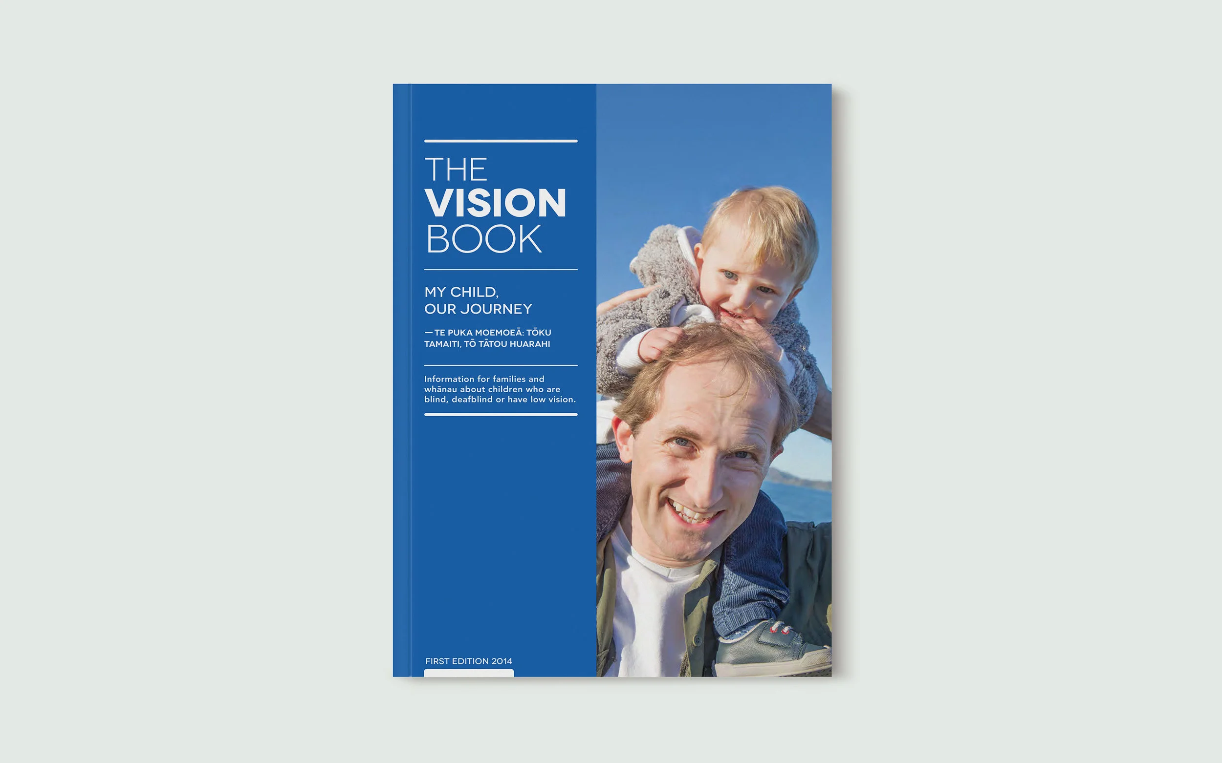 The Vision Book