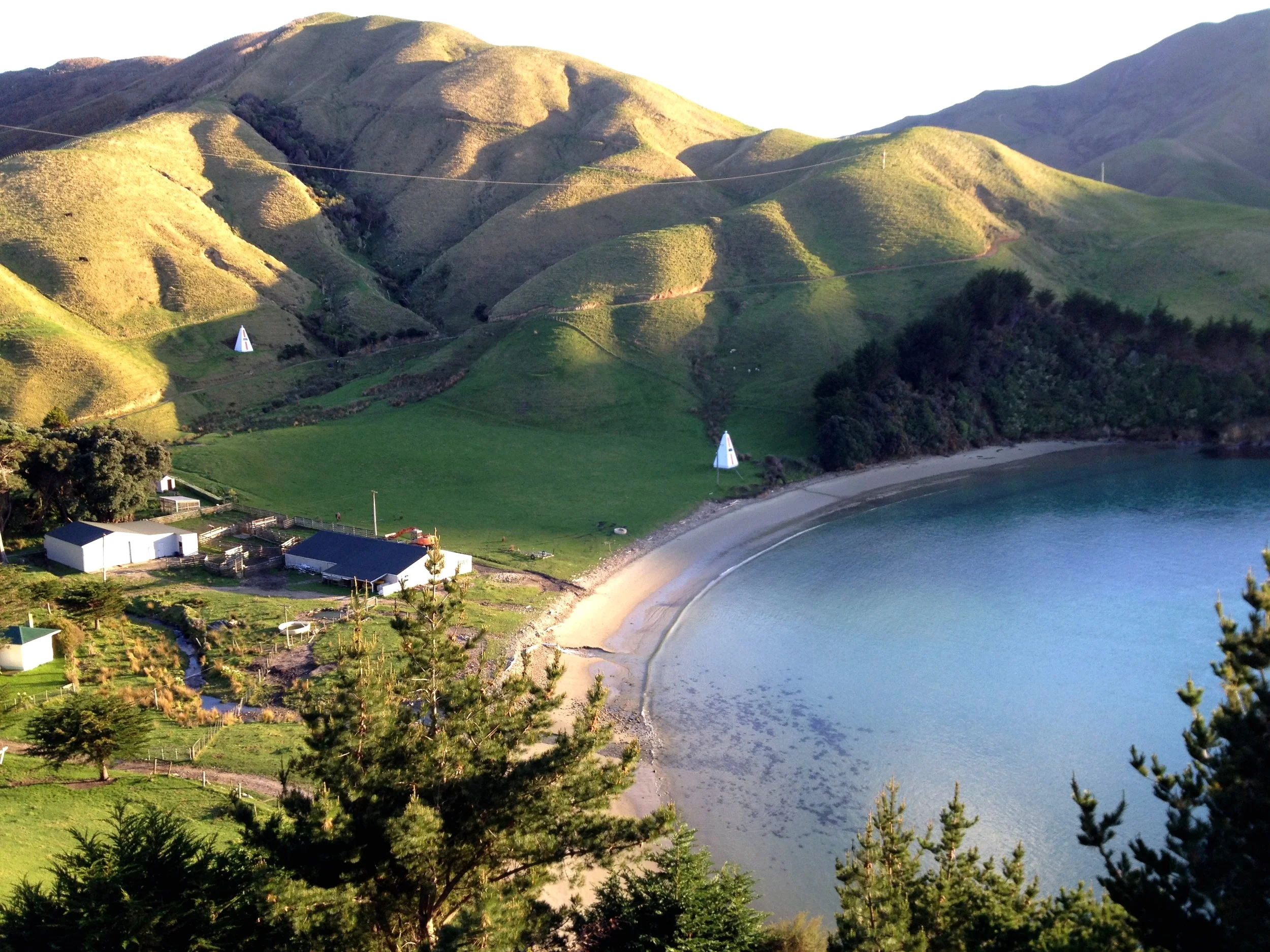 Whekenui Bay, Arapawa Island is home to the Radon family. History books say Arapawa Island is the longest-lived whaling settlement in New Zealand. John (Jacky) Guard started whaling here in the late 1820s and Italian fisherman Joe Perano continued the enterprise from 1911 until 1964. Antonia and Mike Radon say they’ve seen some amazing wildlife in the 19 years they’ve lived on the island. “Recently we had an orca in the bay chasing a stingray. It swam so close to the shore it looked as if it was going to walk straight out of the water.” (Image by Jacqui Gibson).