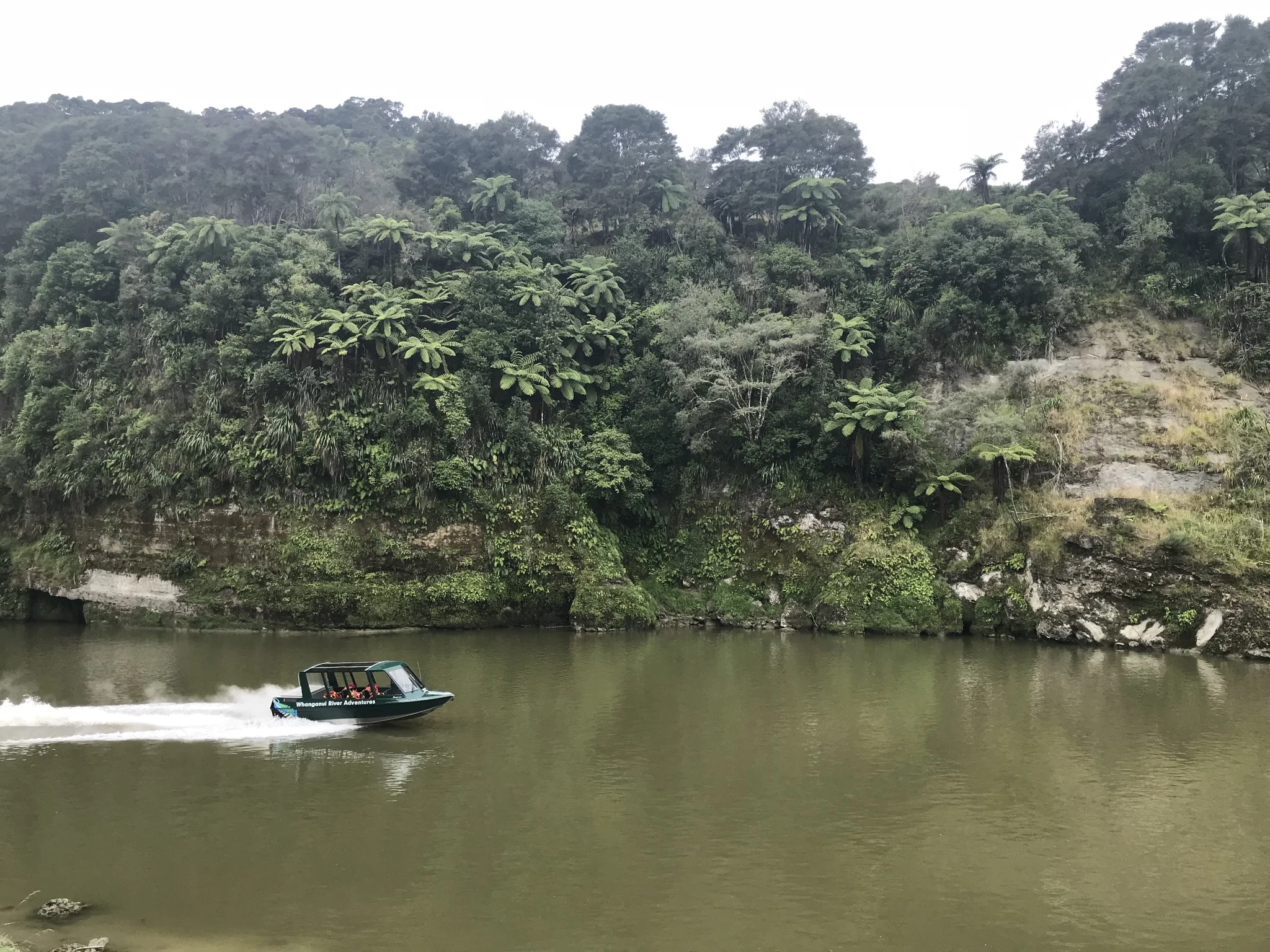 Jet boating on the Whanganui River, New Zealand (image by Jacqui Gibson).