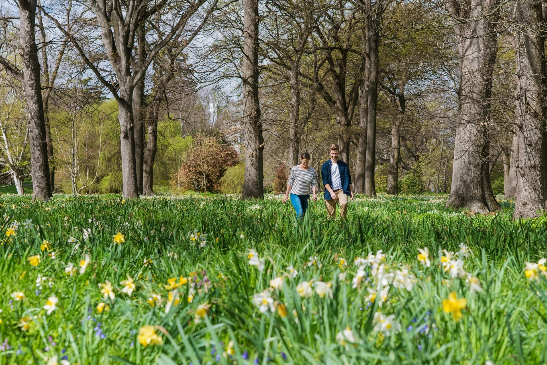 Hagley Park, Christchurch established in 1864 (image by Julian Apse, care of Tourism New Zealand).