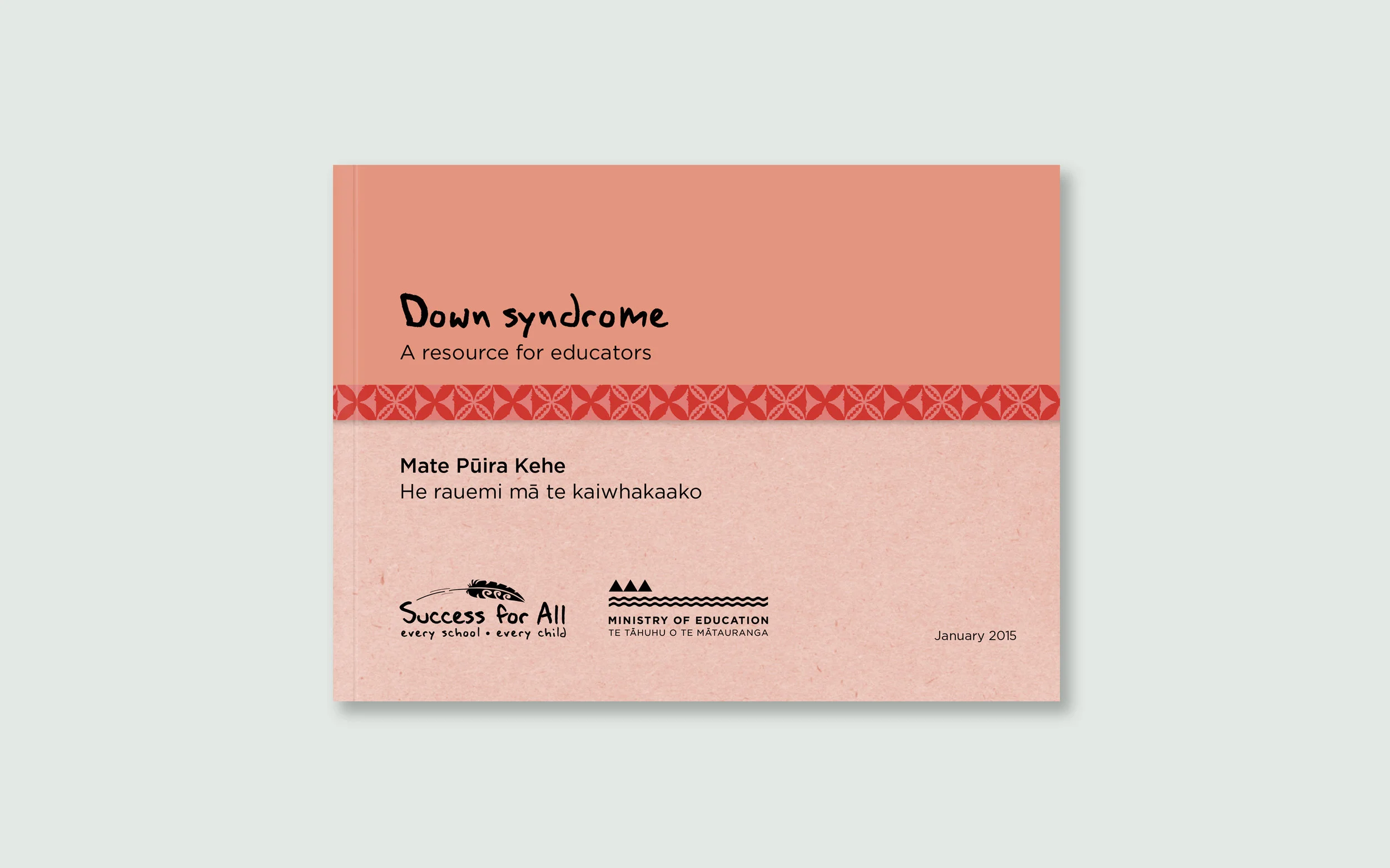 Down syndrome guide for teachers
