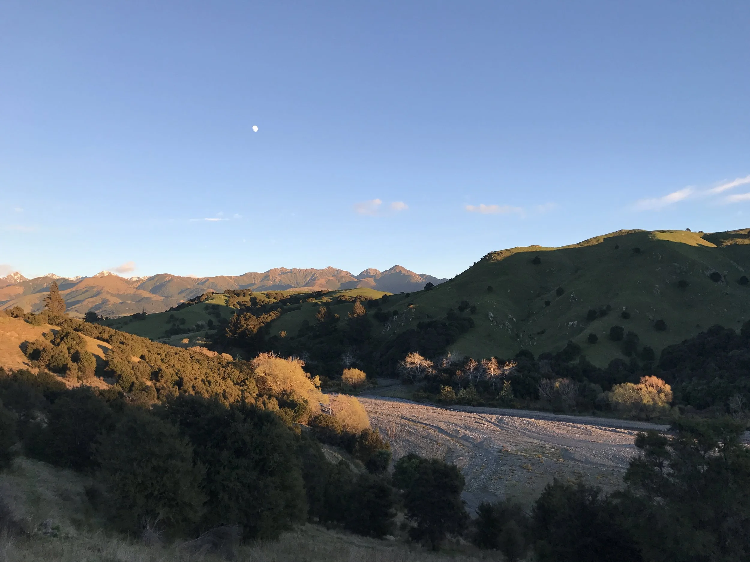 Kahutara river views (image by Jacqui Gibson).