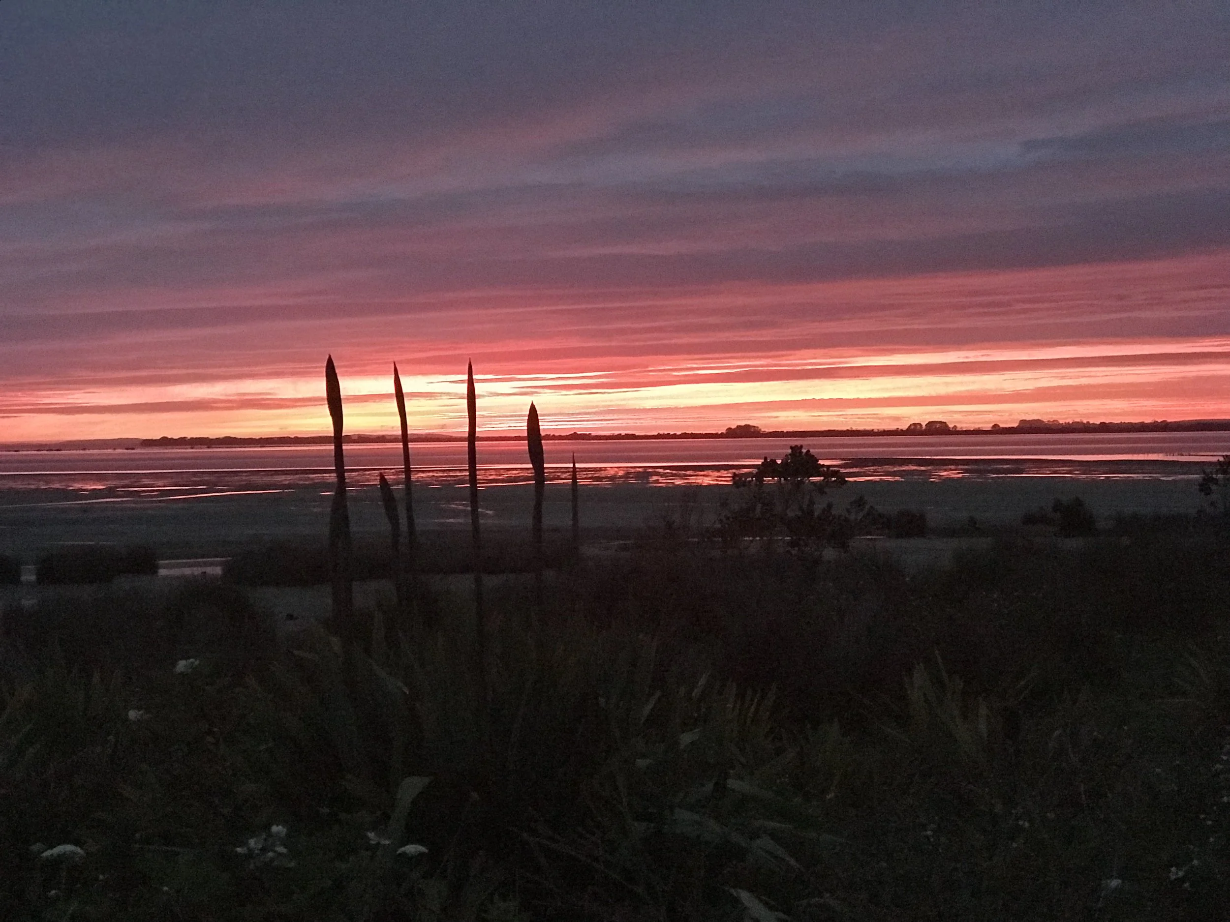 Te Hapua sunrise over Pārengarenga Harbour (image by Jacqui Gibson).