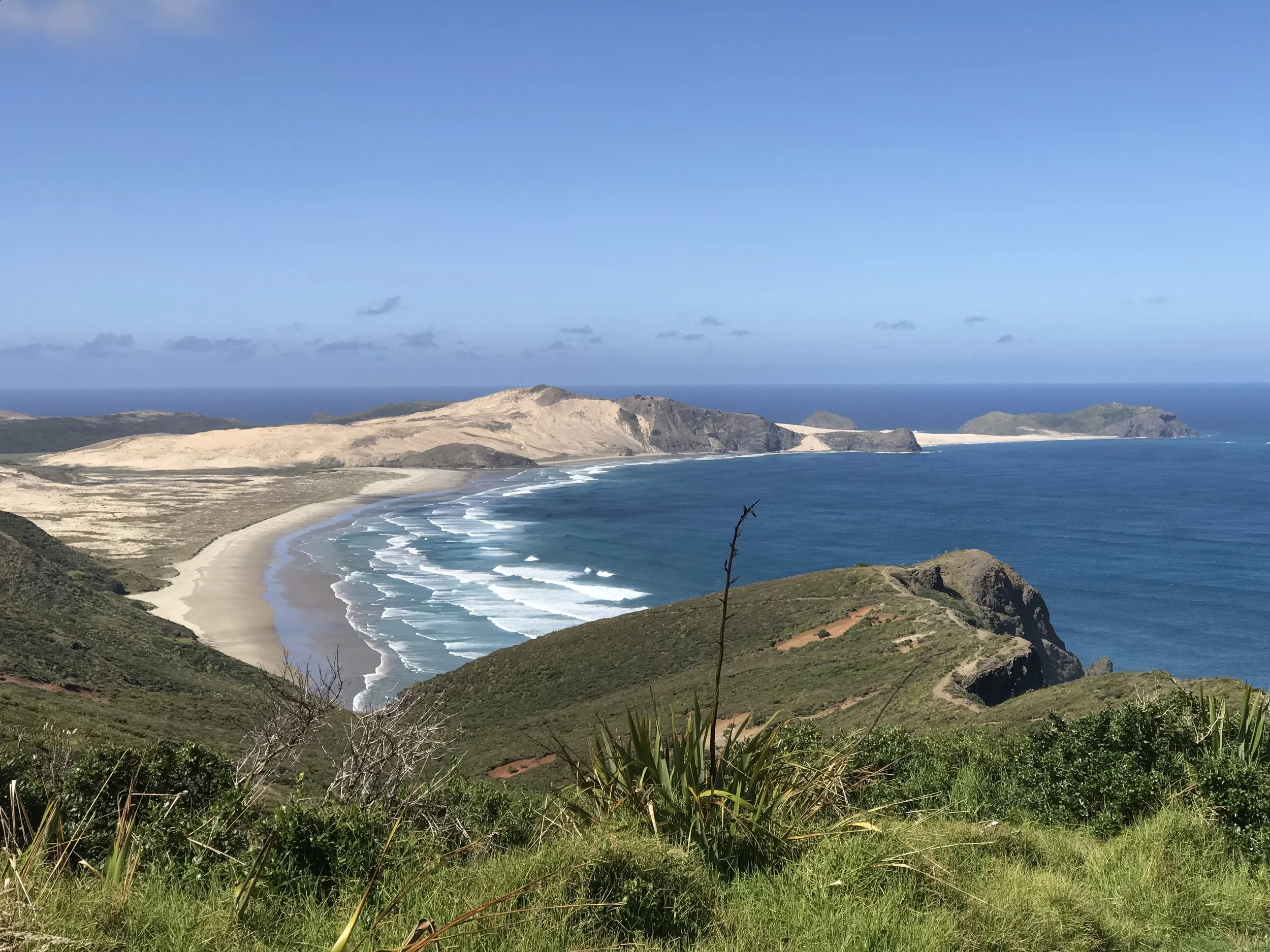 Ngāti Kurī's plan for an ecosanctuary in the Far North
