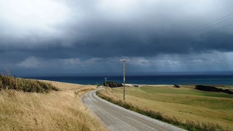 Good southern man, veterinarian Andrew Roe