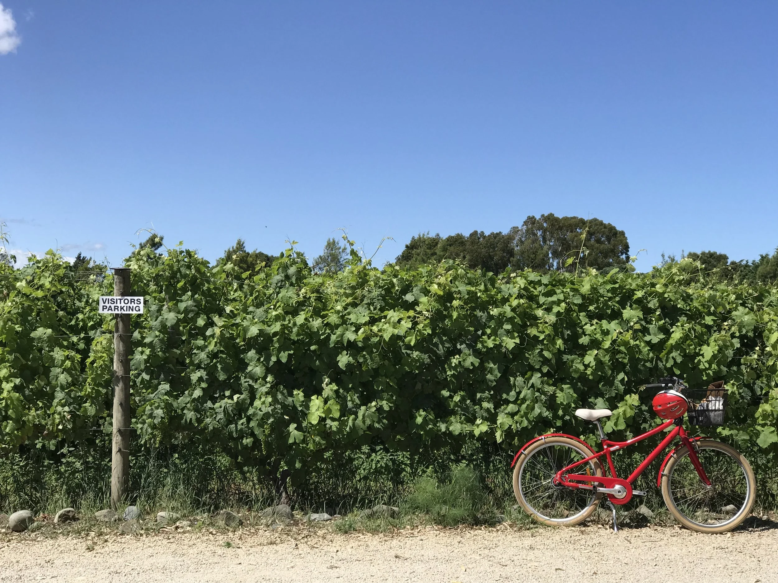 Ripe for the picking: exploring the food and wine of New Zealand’s Wairarapa