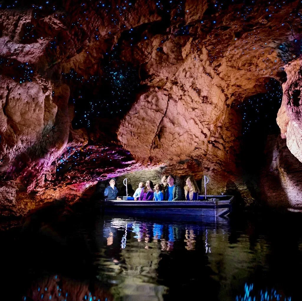 Where to find glowworms in New Zealand's Fiordland National Park