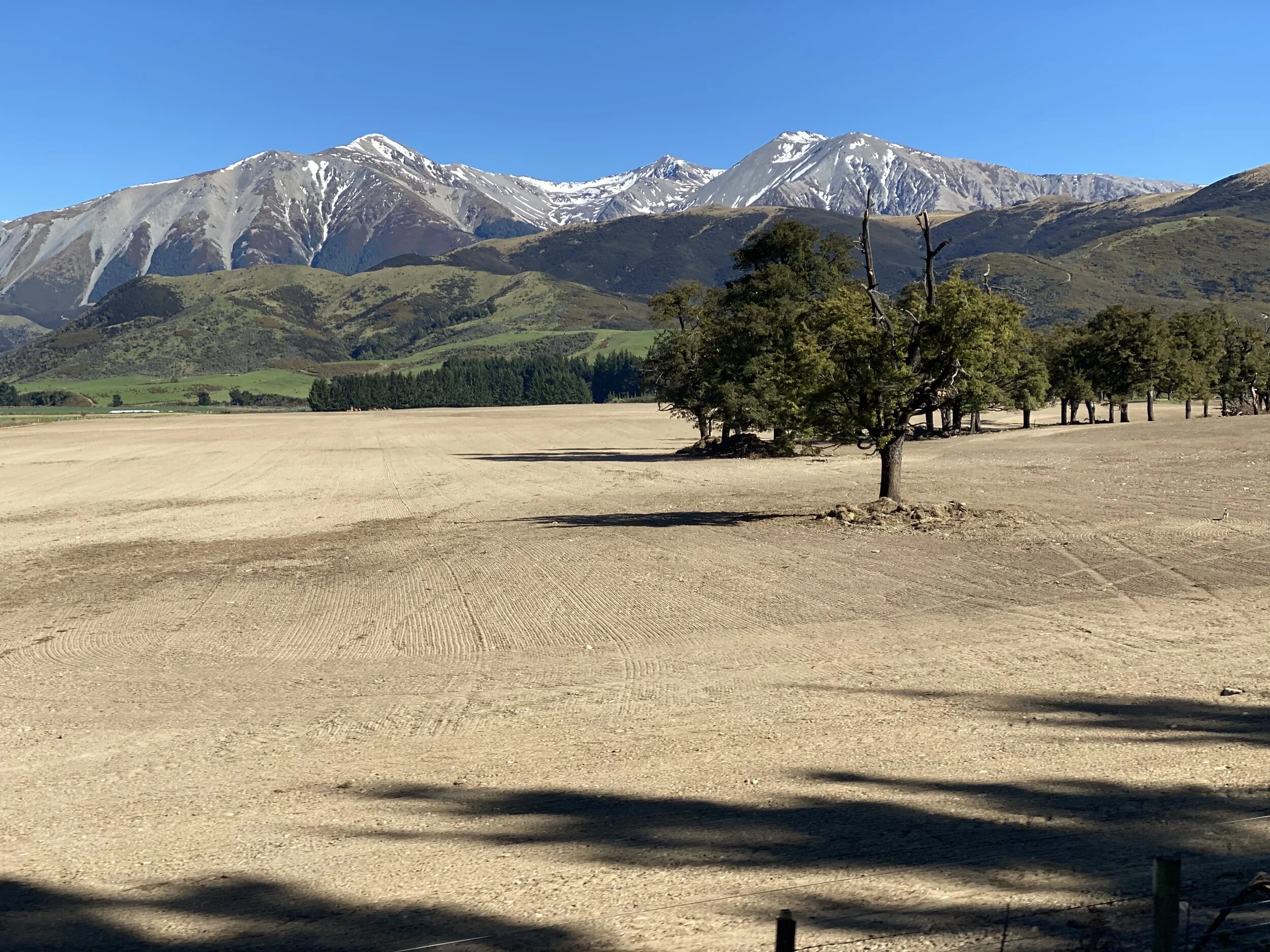 Why you should take a ride on the TranzAlpine this summer