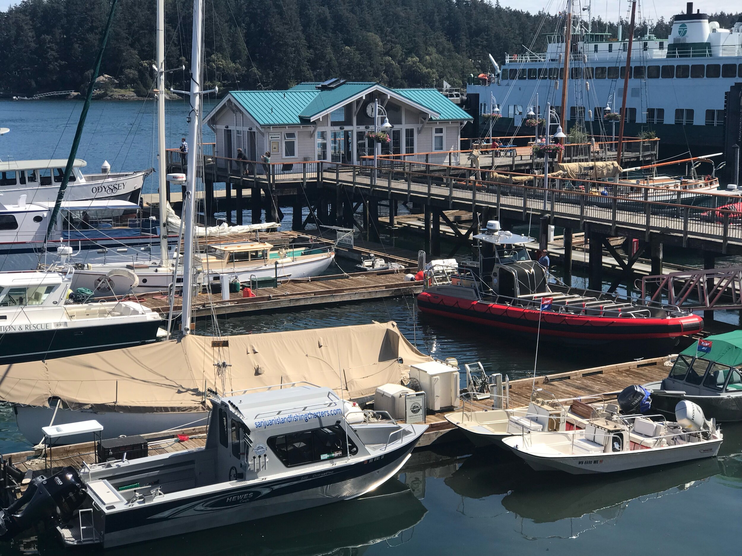 Friday Harbor, San Juan Island (images by Jacqui Gibson)