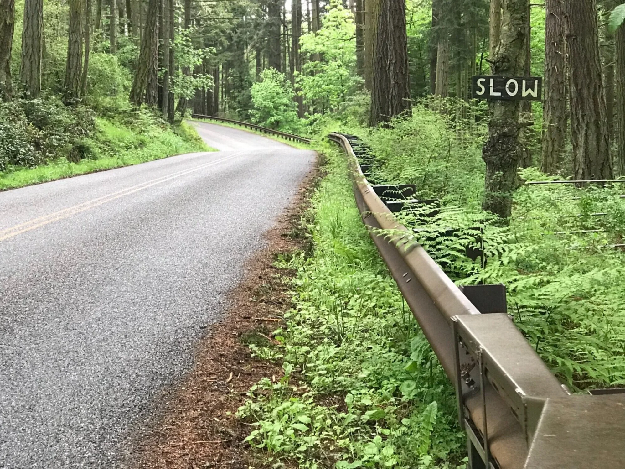 Travel in the US: road tripping in the San Juan Islands