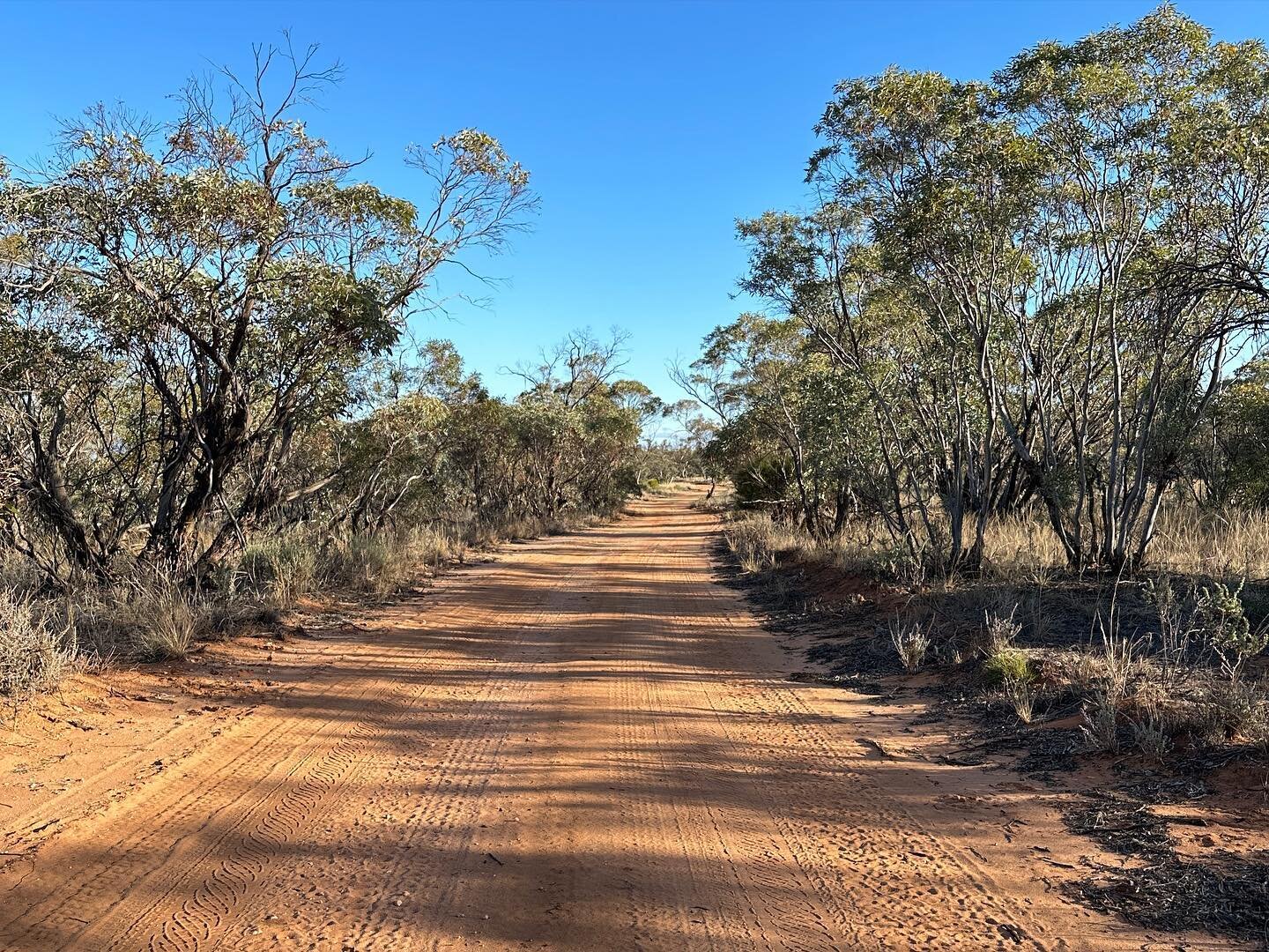 It was, maybe, 1994 when I first visited the Aussie outback. I was a 22, hitchhiking solo from Darwin to Townsville with less than 20 bucks in my pocket. The empty red desert seemed as mysterious and exhilarating to me as any of the faraway places I&