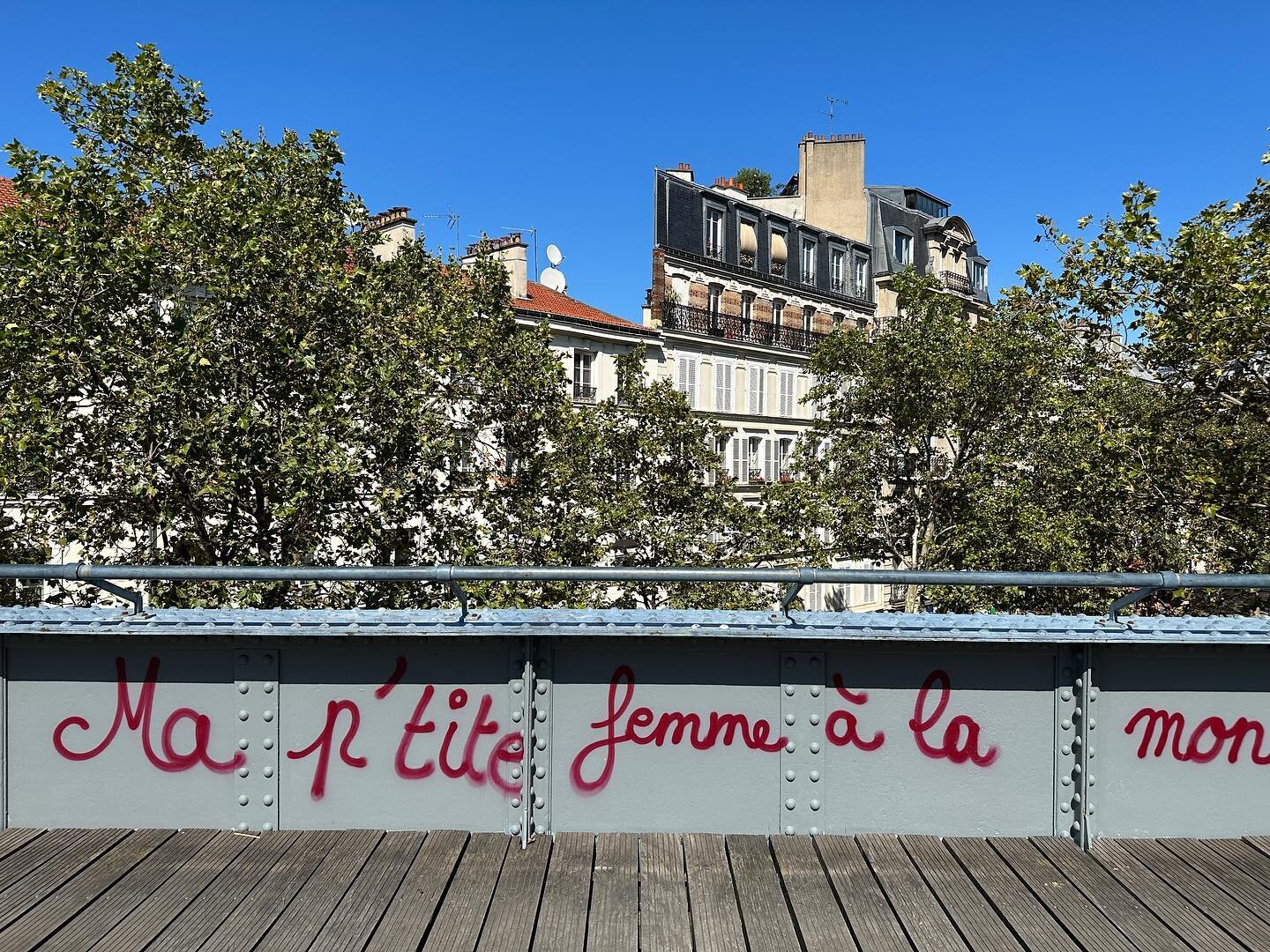There&rsquo;s a gorgeous rail trail walk in Paris called the Promenade plant&eacute;e Ren&eacute;-Dumont (French for planted walkway). It&rsquo;s a 4.7 km elevated city park built on top of an obsolete railway in the 12th arrondissement. The perfect 