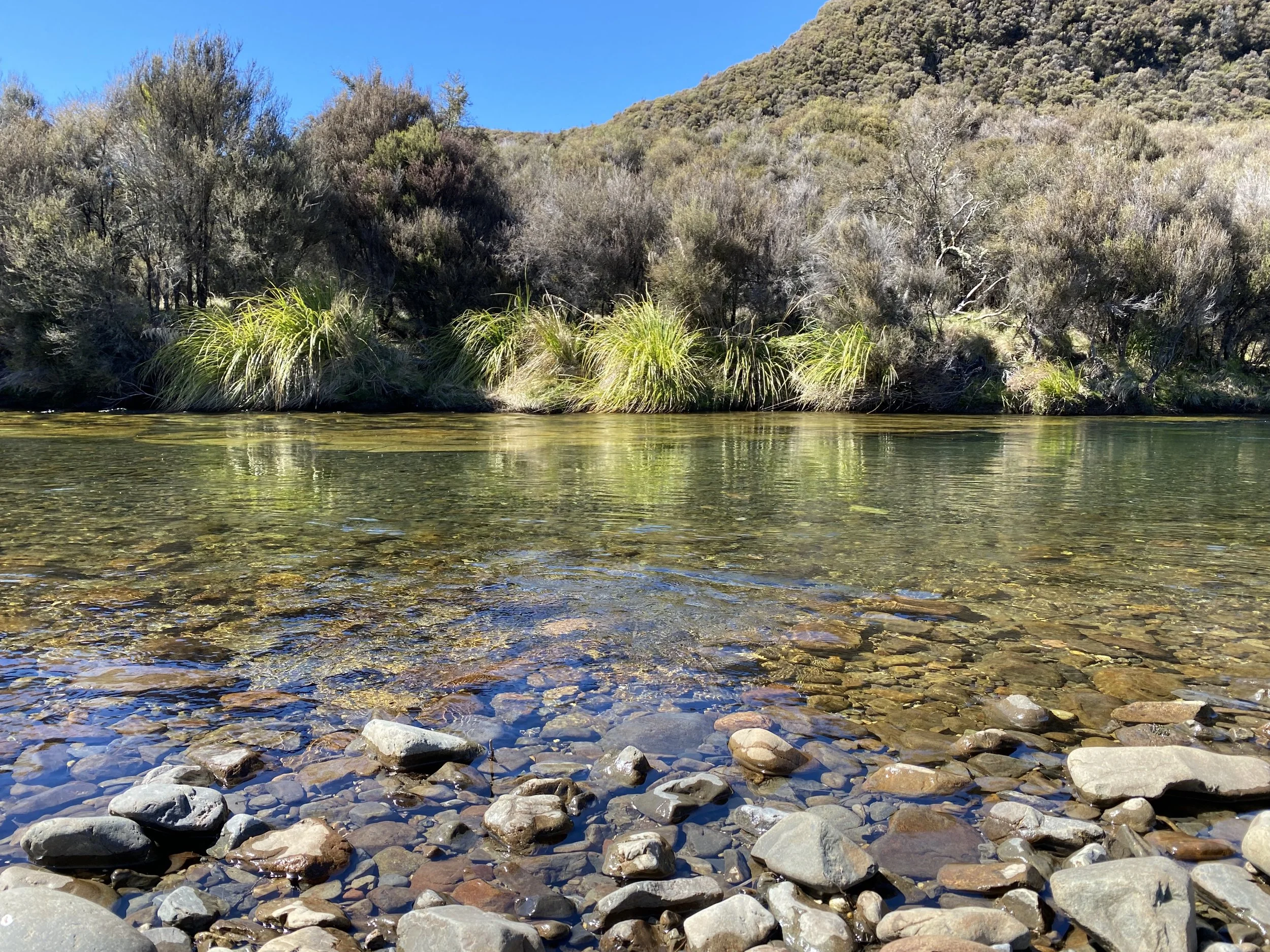 Clear waters of the Mohaka River, New Zealand
