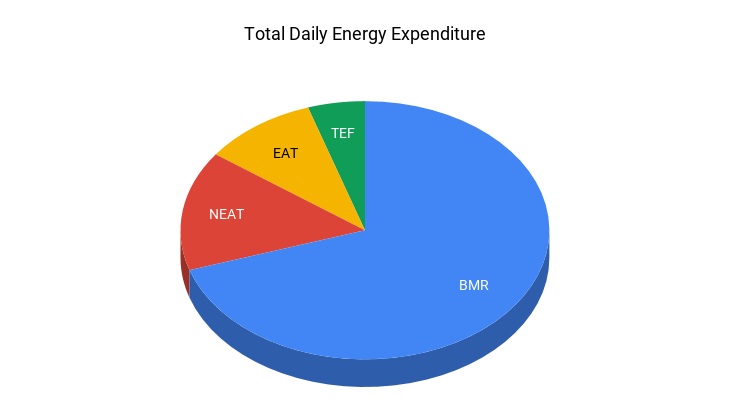Total+Daily+Energy+Expenditure.jpg