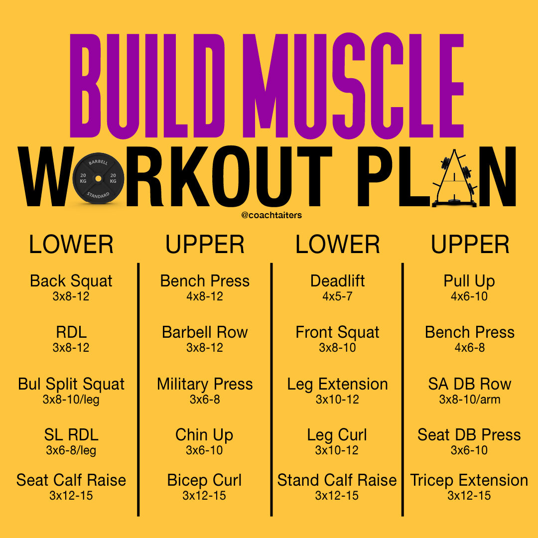 Example Musce Building Workout.jpg