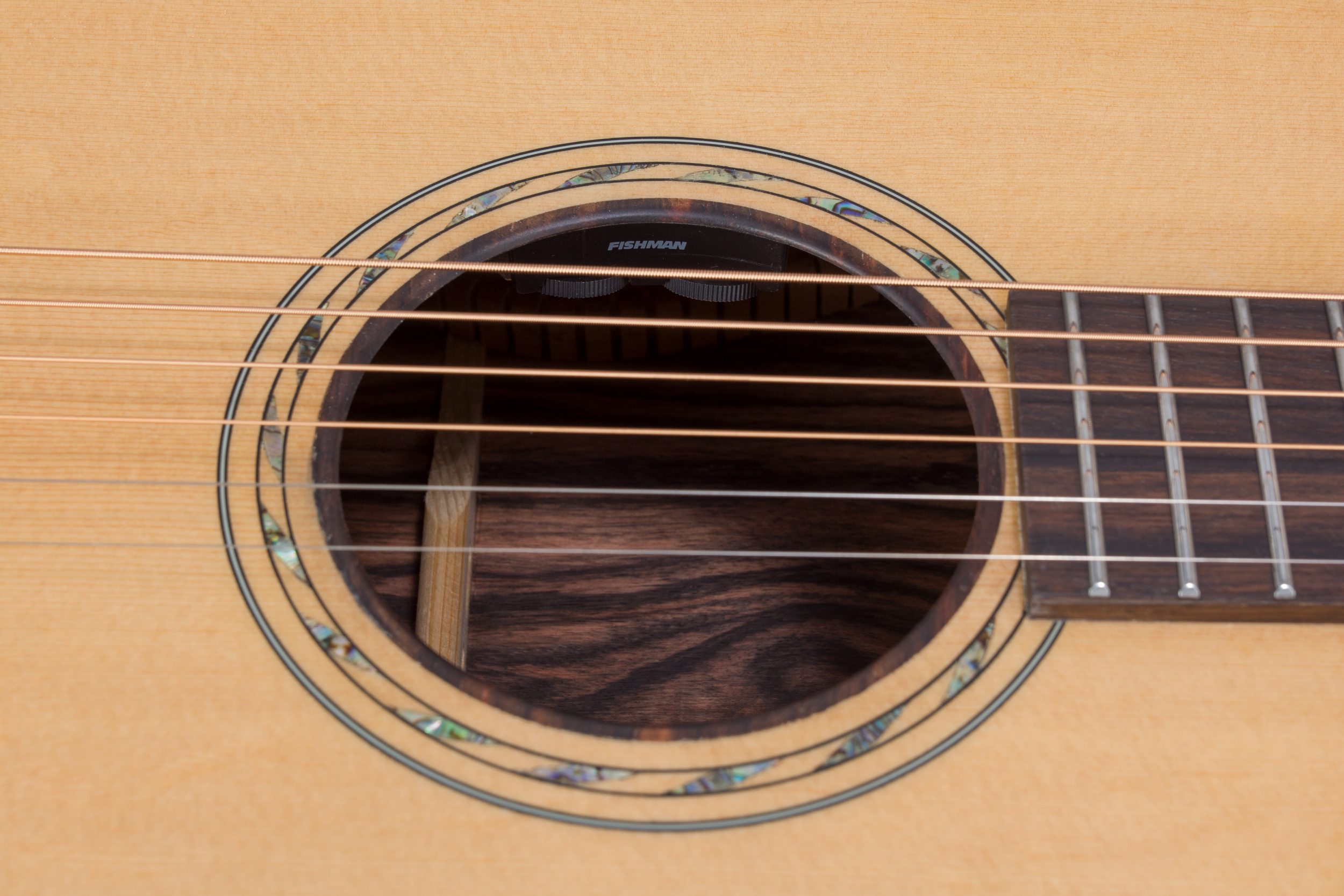 BAR5CE - soundhole 2.png