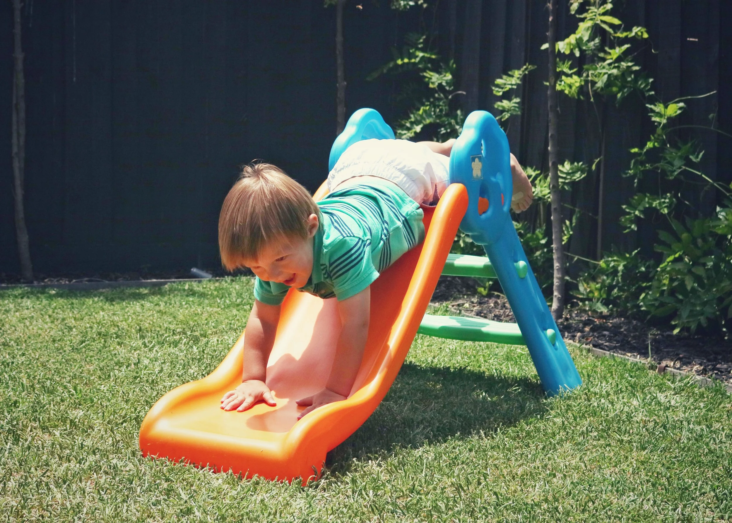 Slide - Stevie Filtered.JPG