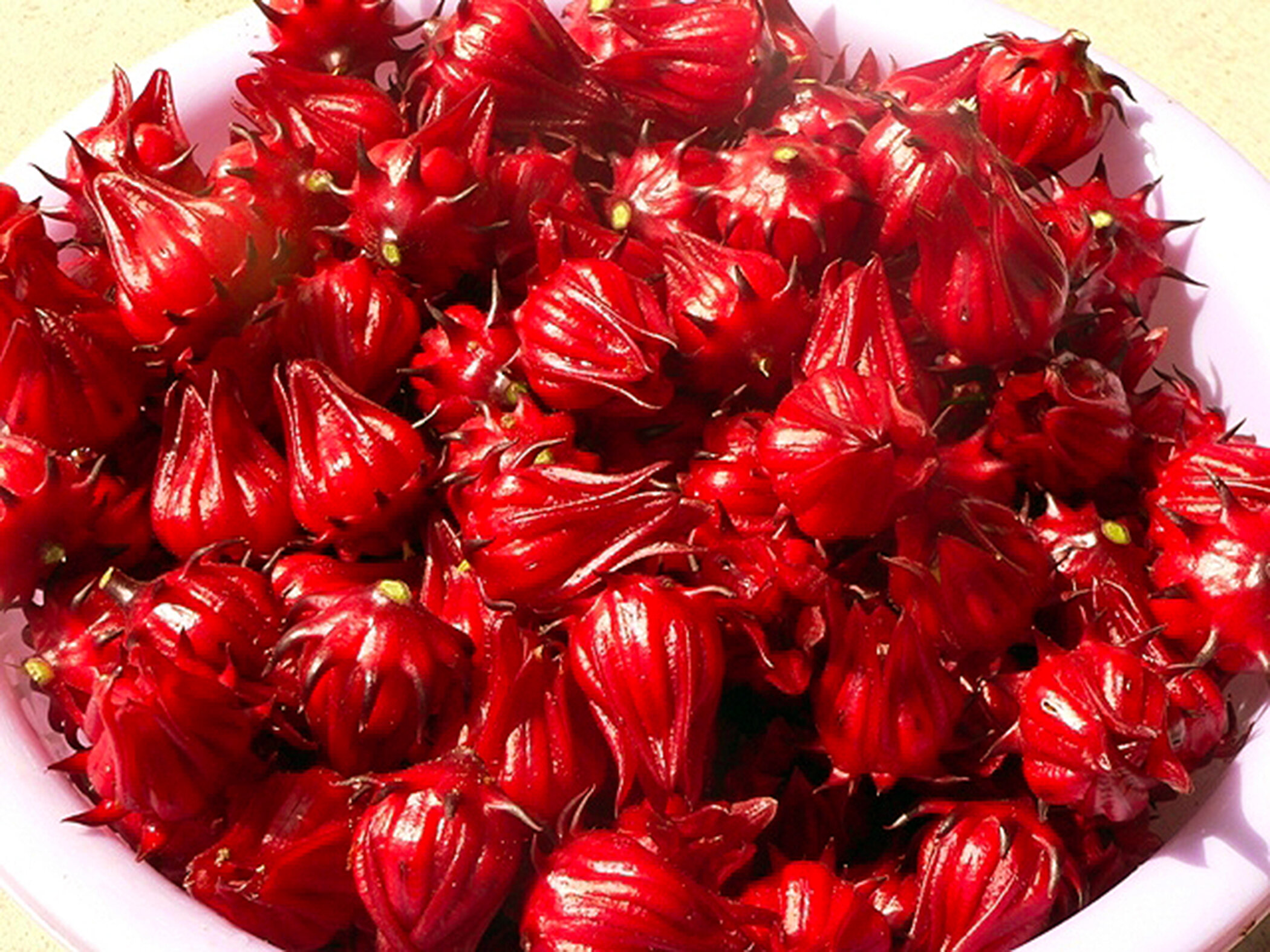 sorrel flowers.jpg