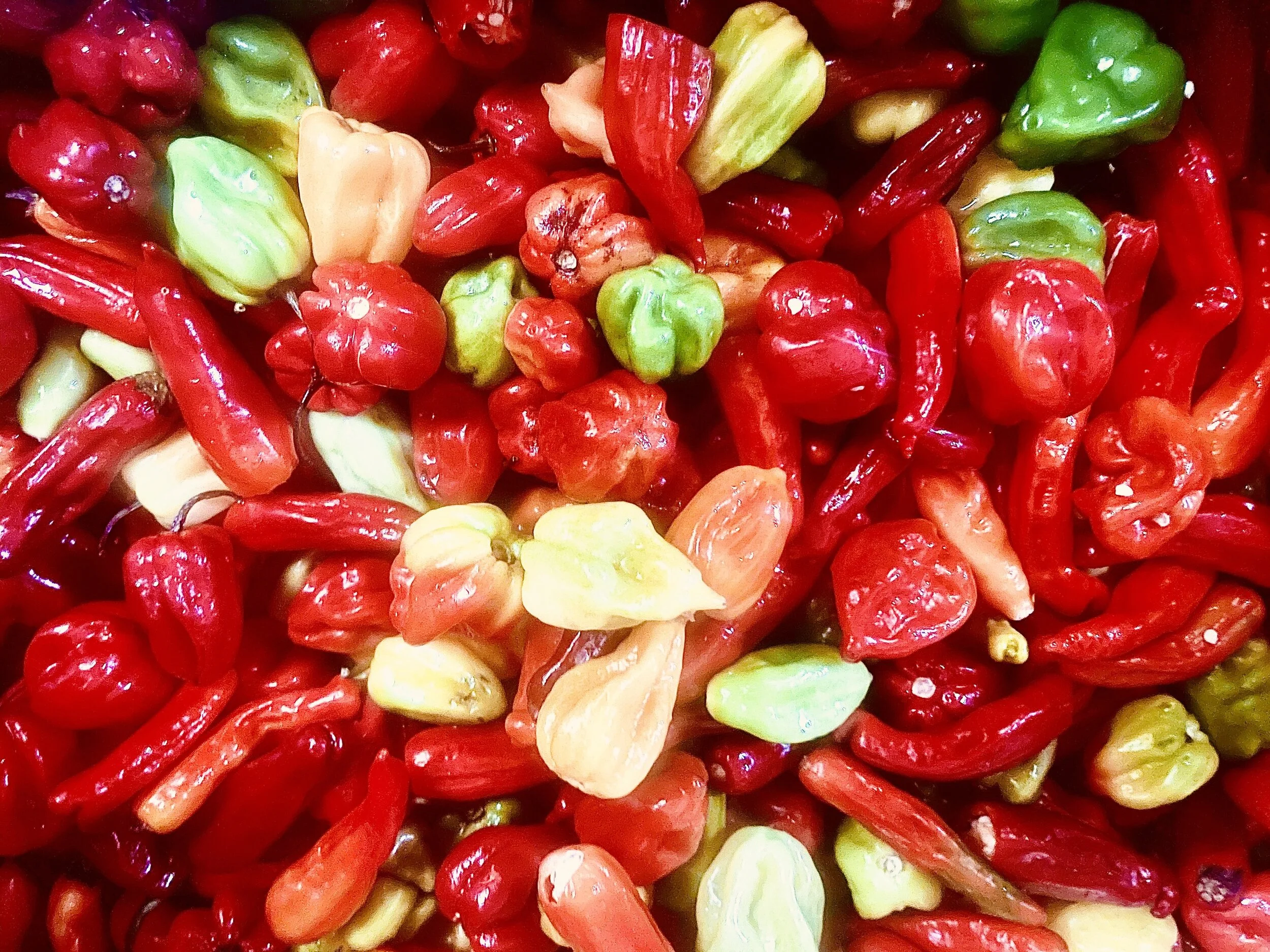 batch of peppers.jpg