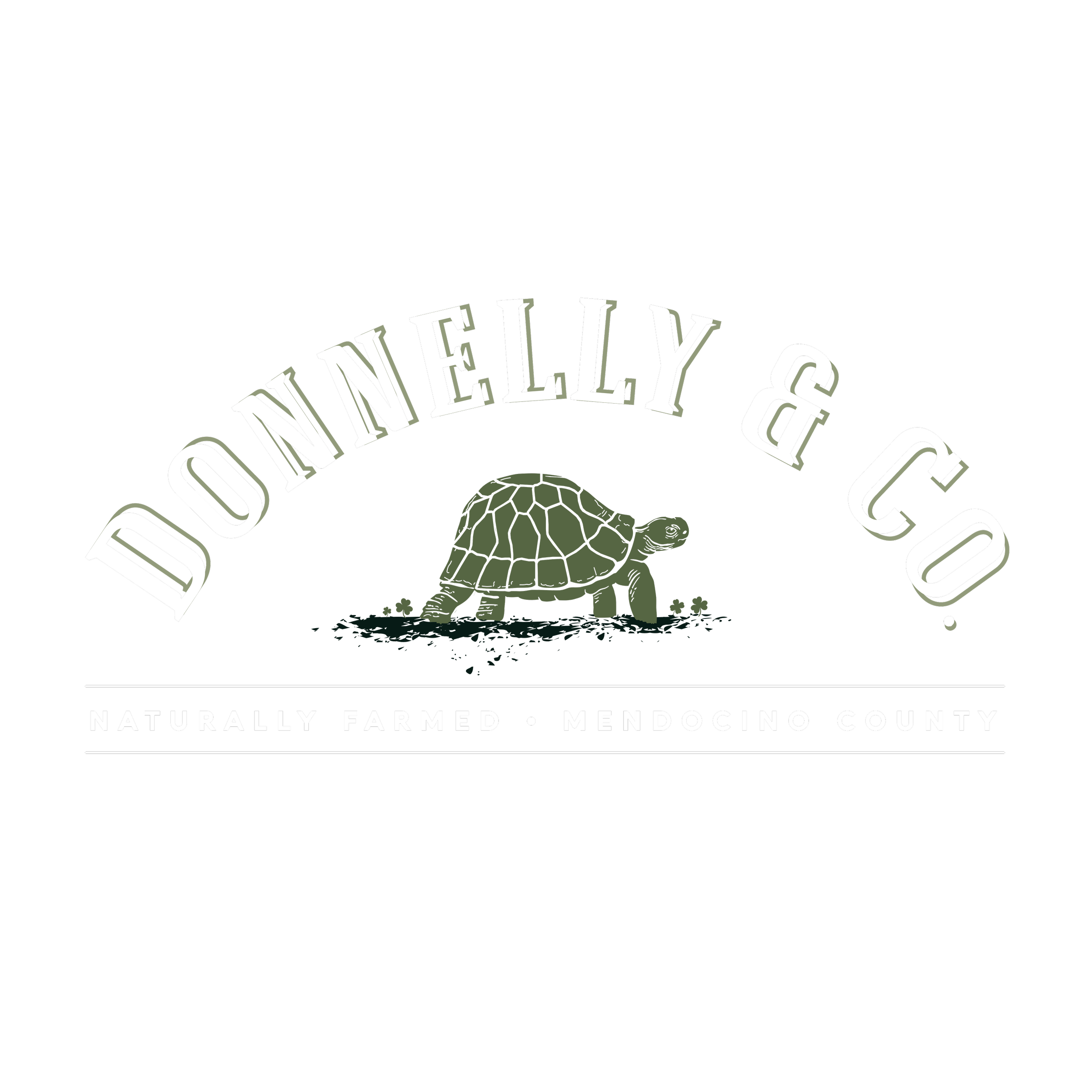 HOME — Donnelly & Co.