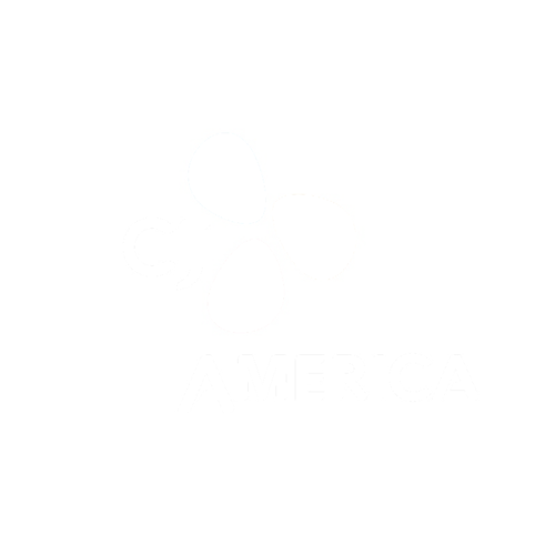 CJ+E&M+America.png