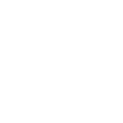 reelz channel.png