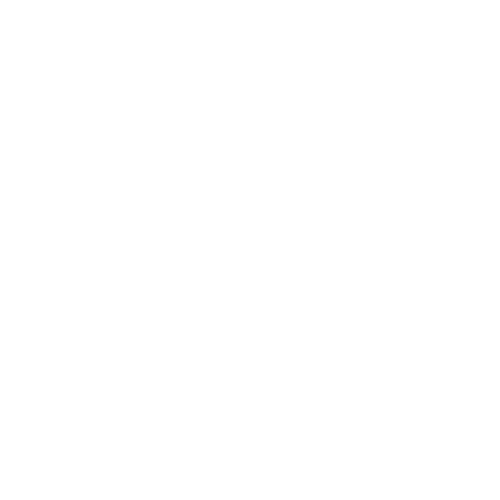 Roadis.png
