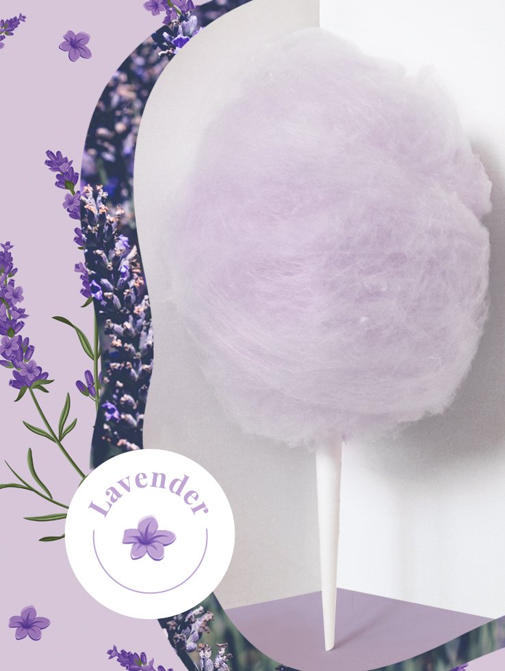 Lavender_Web.jpg