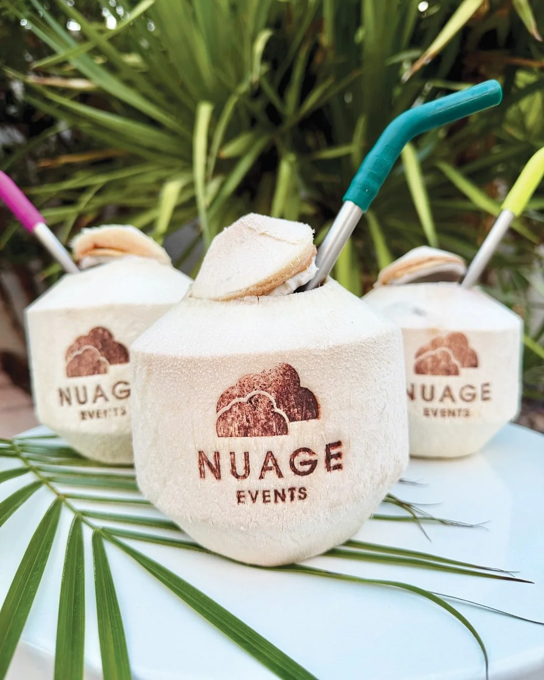 Introducing our newest activation: Branded Coconuts! 🥥

Fresh coconuts, customized with your logo and served straight to your guests.

A fun, refreshing way to bring your brand to life at corporate events, brand activations, and private celebrations