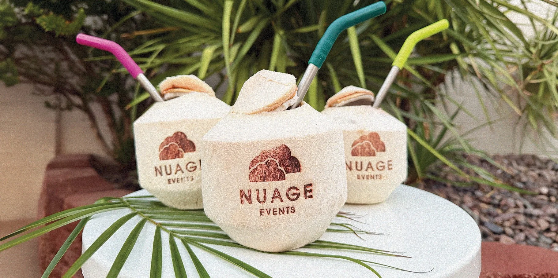 Nuage_Coconut_Banner.jpg