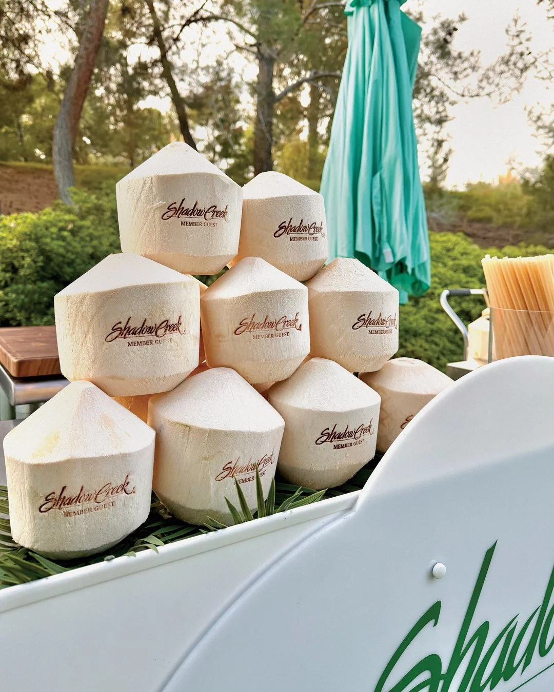 Nuage_Events_Branded_coconuts_Shadowcreek.jpg
