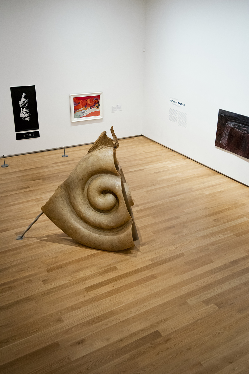 The Auckland Art Gallery