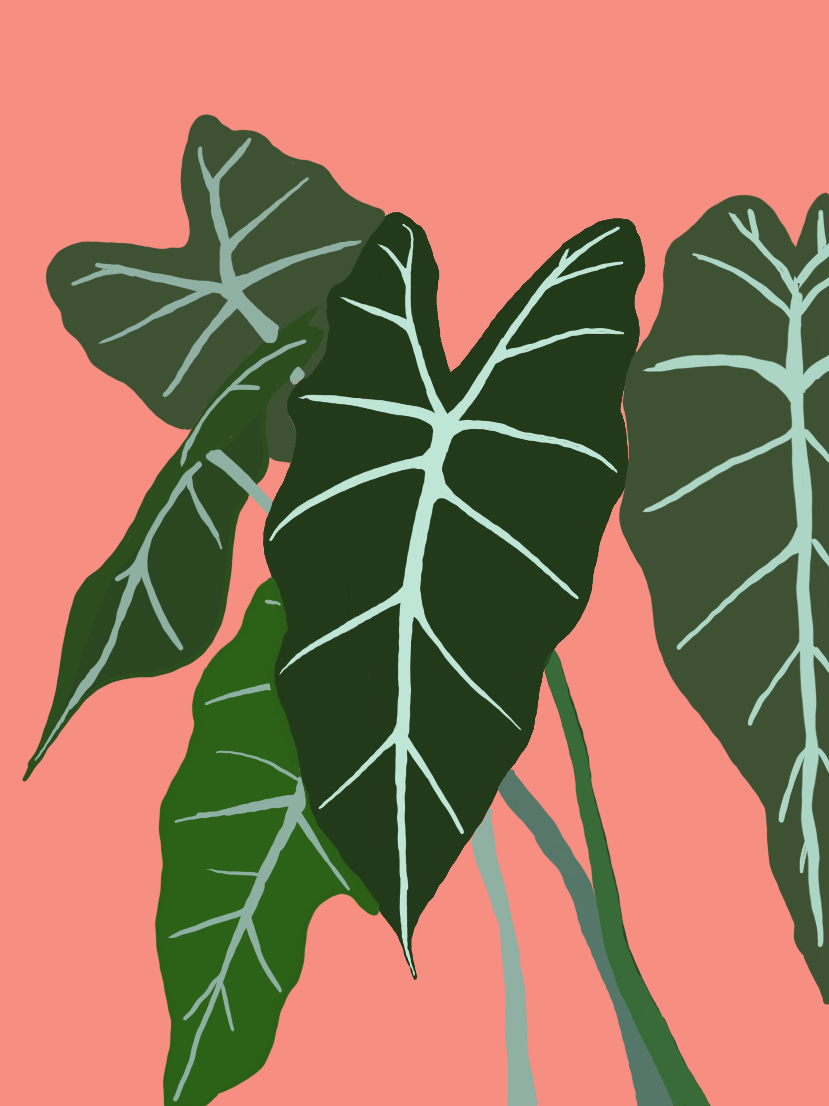Untitled_Artwork (10).png
