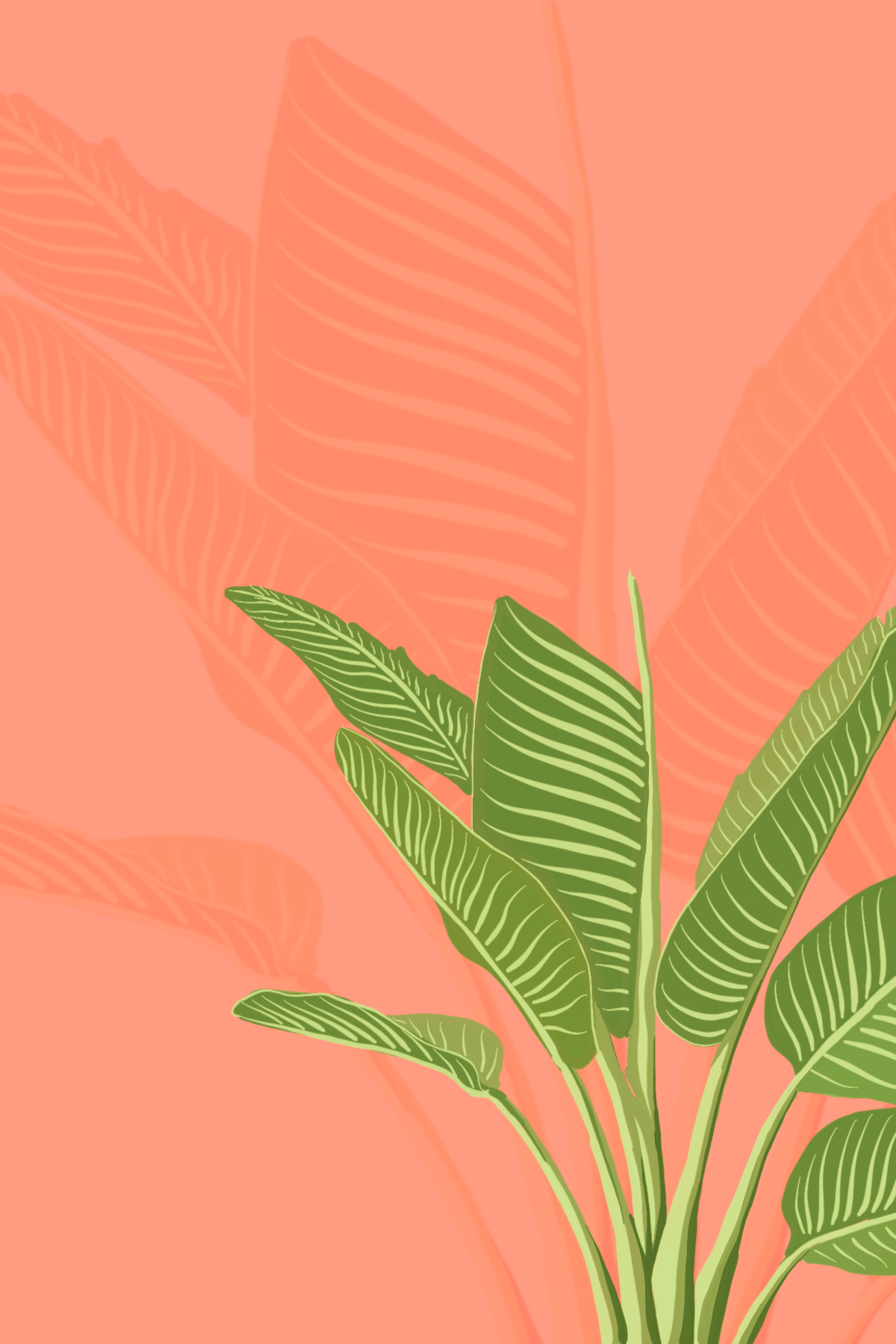 Big+Chlorophyll+energy.png