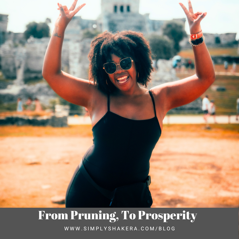 From Pruning, To Prosperity